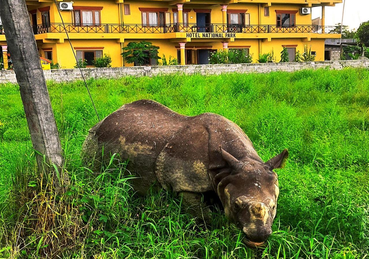 Hotel National Park Sauraha- Homely Stay And Peaceful Location With Jungle Safari Arrangements 외부 사진