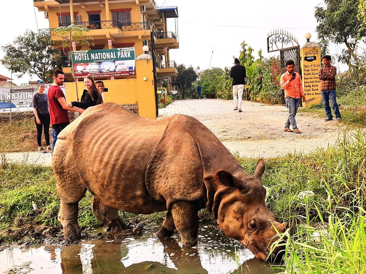 Hotel National Park Sauraha- Homely Stay And Peaceful Location With Jungle Safari Arrangements 외부 사진