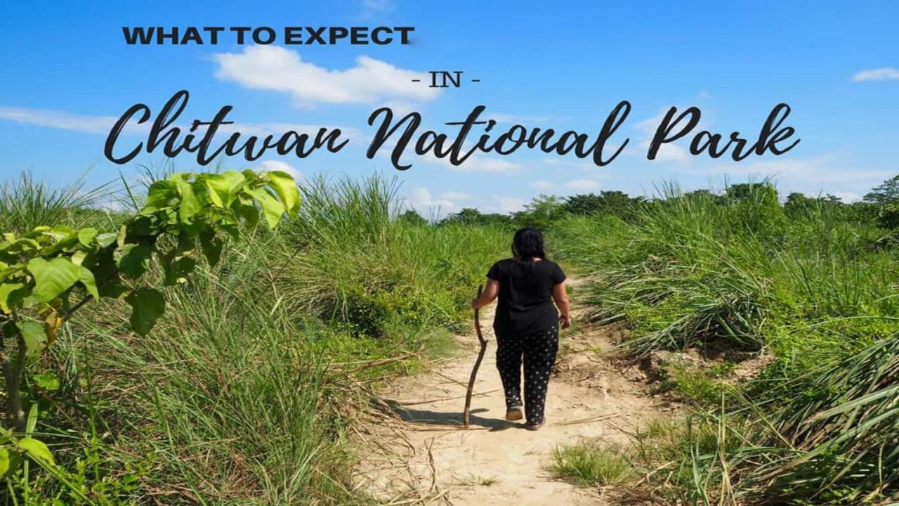 Hotel National Park Sauraha- Homely Stay And Peaceful Location With Jungle Safari Arrangements 외부 사진