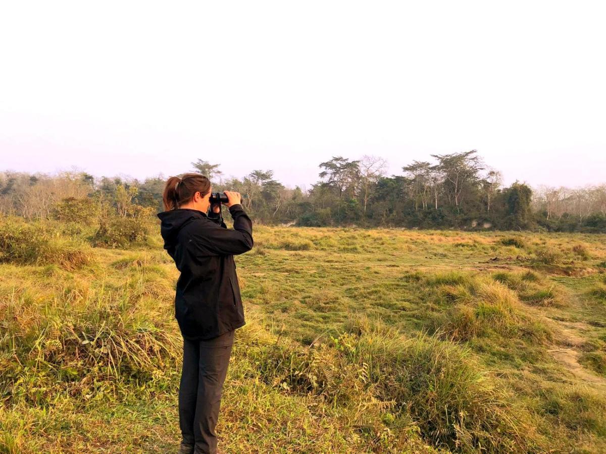 Hotel National Park Sauraha- Homely Stay And Peaceful Location With Jungle Safari Arrangements 외부 사진