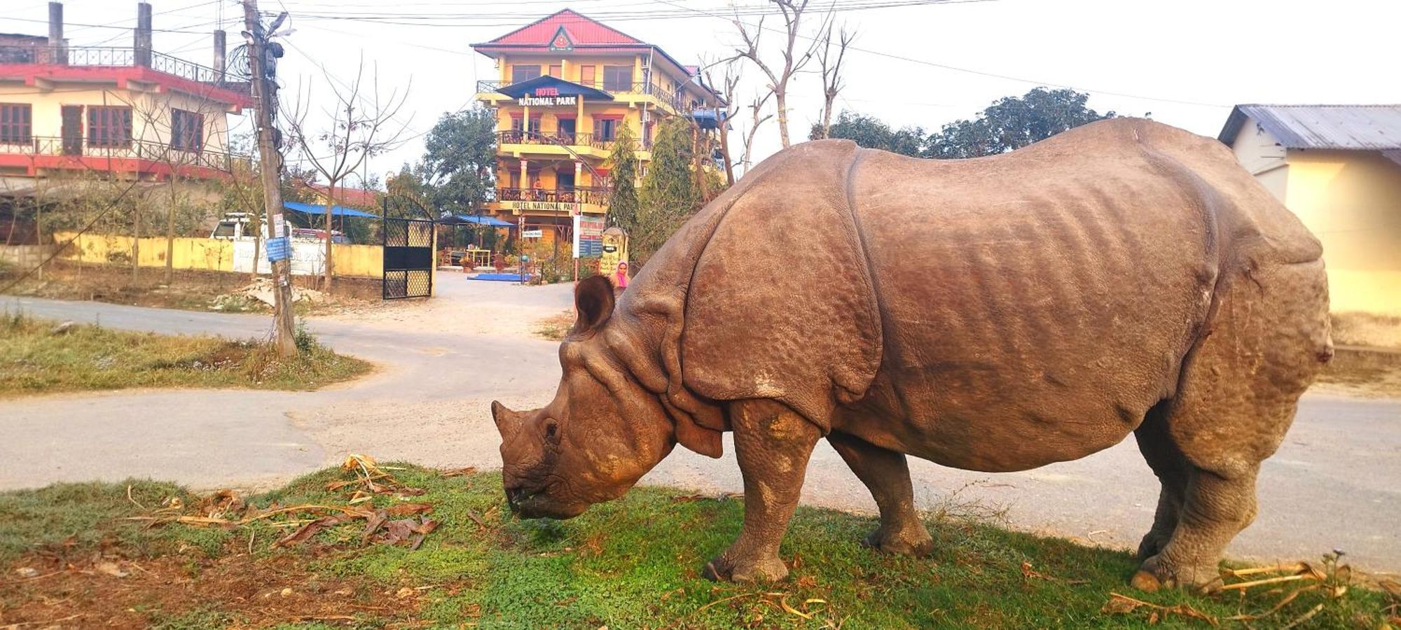 Hotel National Park Sauraha- Homely Stay And Peaceful Location With Jungle Safari Arrangements 외부 사진