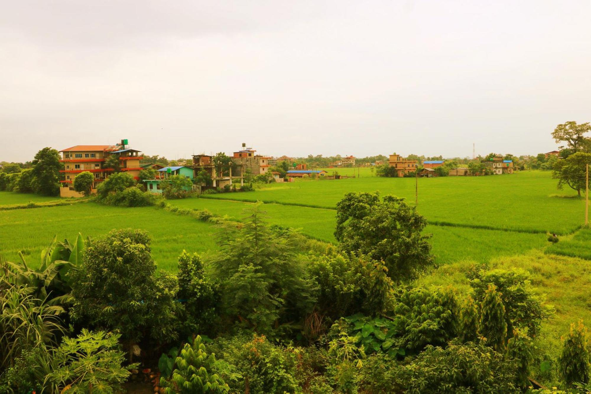 Hotel National Park Sauraha- Homely Stay And Peaceful Location With Jungle Safari Arrangements 외부 사진