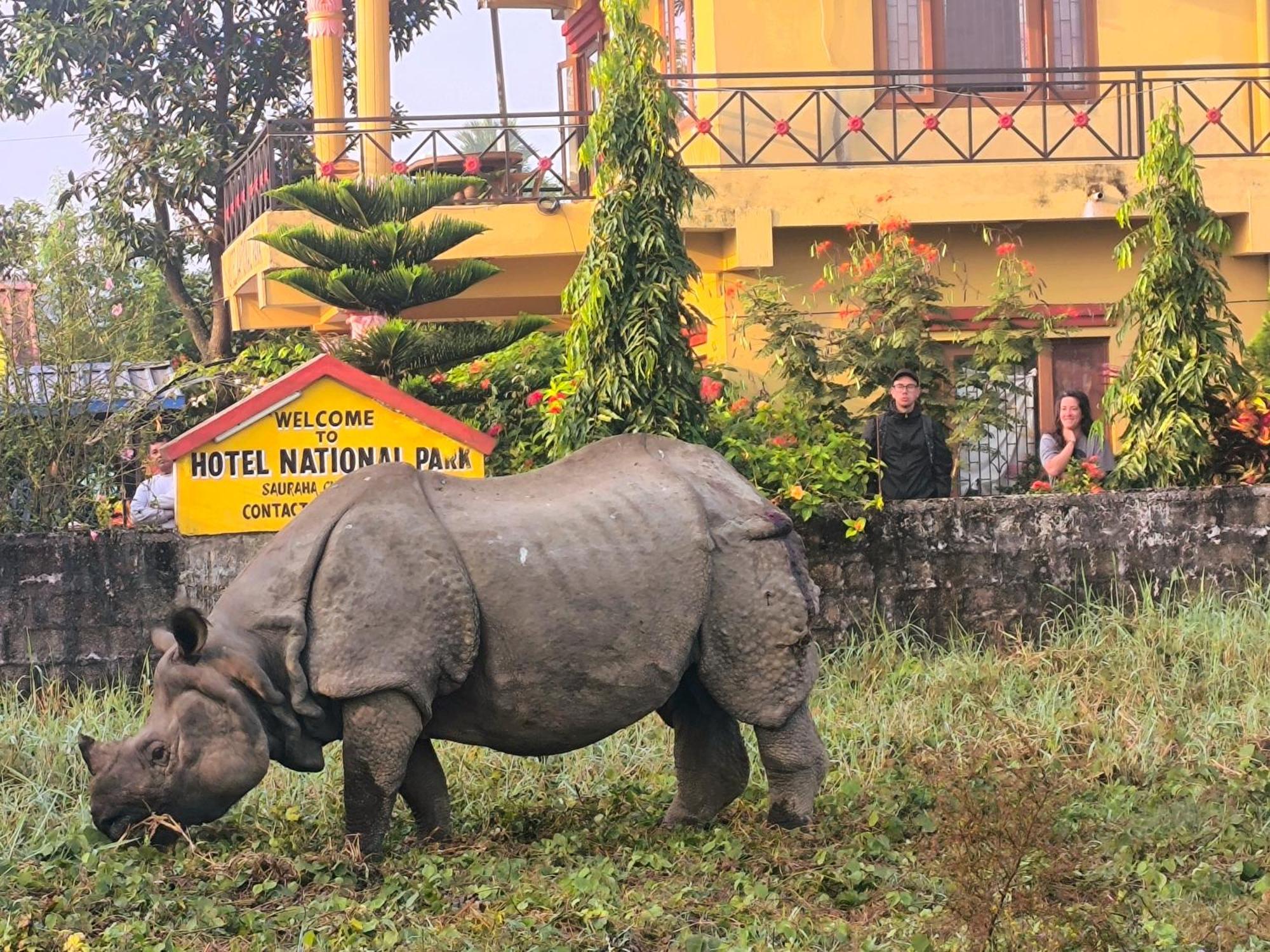 Hotel National Park Sauraha- Homely Stay And Peaceful Location With Jungle Safari Arrangements 외부 사진